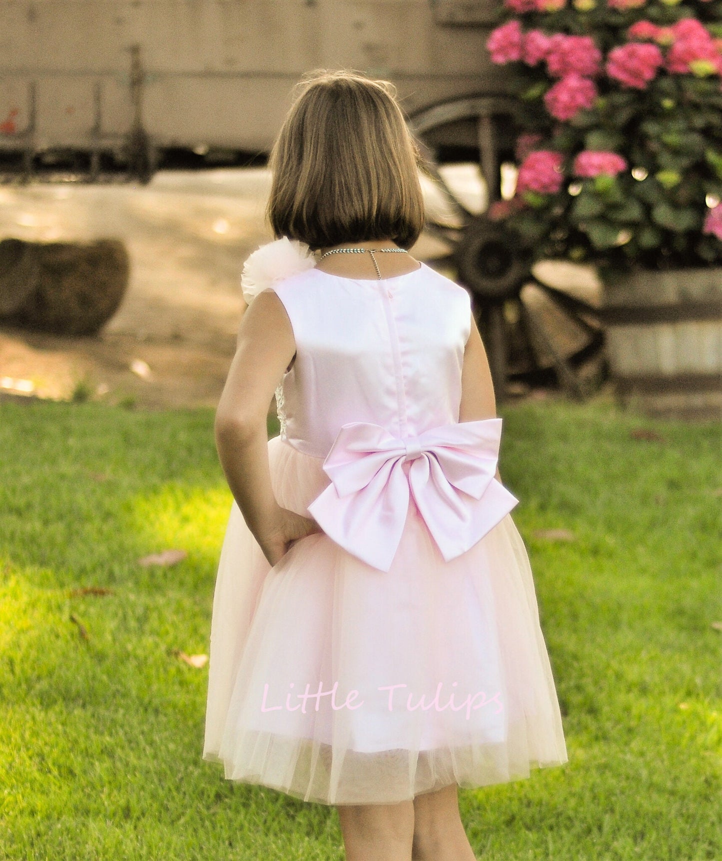 Blush pink Tulle Dress